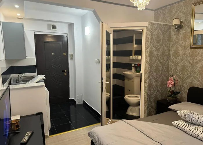 Petit Aradului * Timişoara